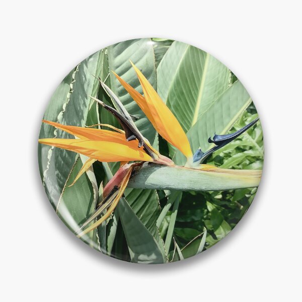 Item preview, Tropical Bird of Paradise Flower designed and sold by PhuongVoArt.