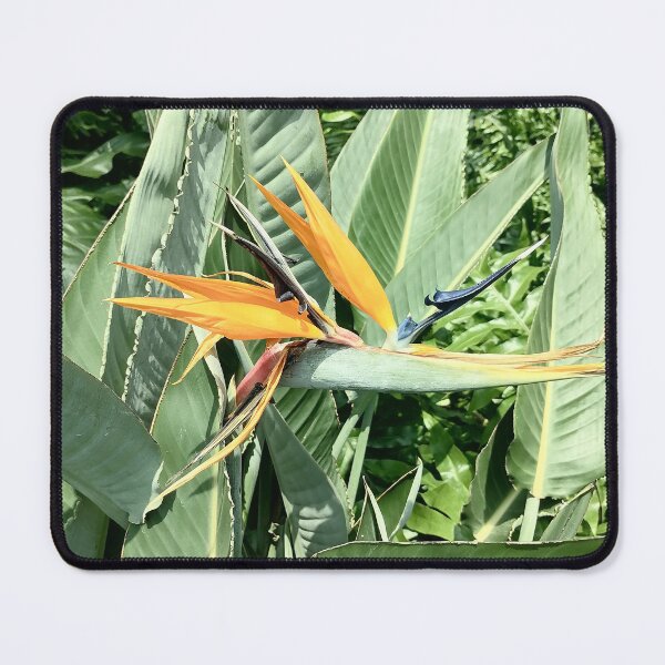 Item preview, Tropical Bird of Paradise Flower designed and sold by PhuongVoArt.