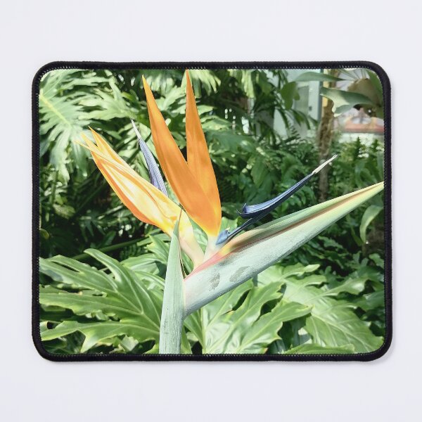 Item preview, Tropical Bird of Paradise Flower designed and sold by PhuongVoArt.