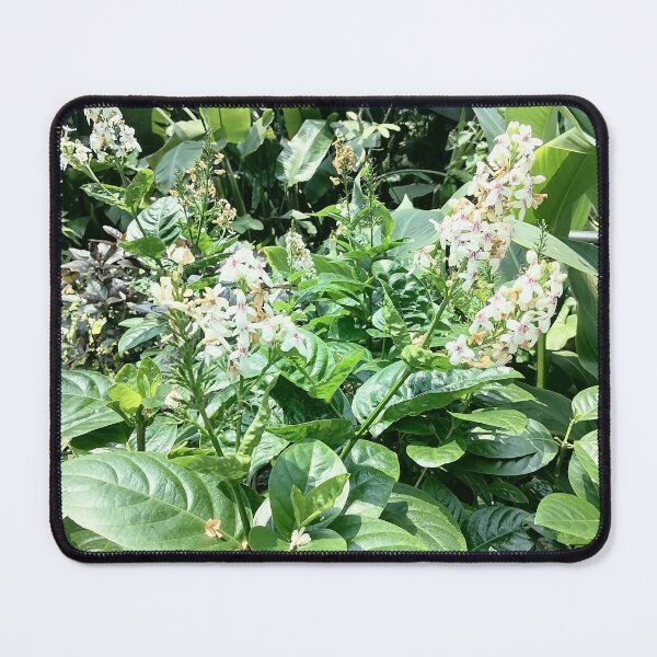 Item preview, White Tropical Flowers in Green Garden designed and sold by PhuongVoArt.