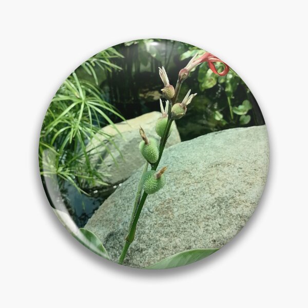 Item preview, Red Tropical Ginger Flower designed and sold by PhuongVoArt.