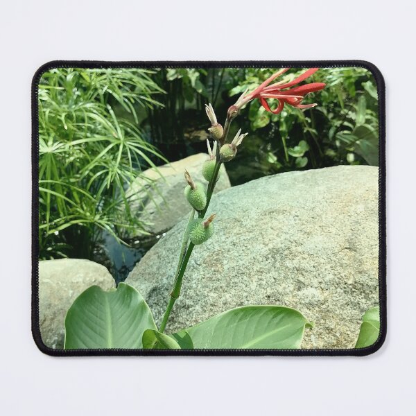Item preview, Red Tropical Ginger Flower designed and sold by PhuongVoArt.