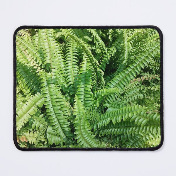 Item preview, Green Tropical Fern Leaves designed and sold by PhuongVoArt.