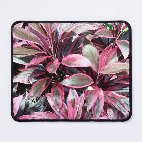 Item preview, Pink Tropical Ti Plant Leaves designed and sold by PhuongVoArt.