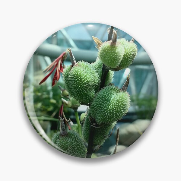 Item preview, Green Tropical Plant Seed Pods designed and sold by PhuongVoArt.