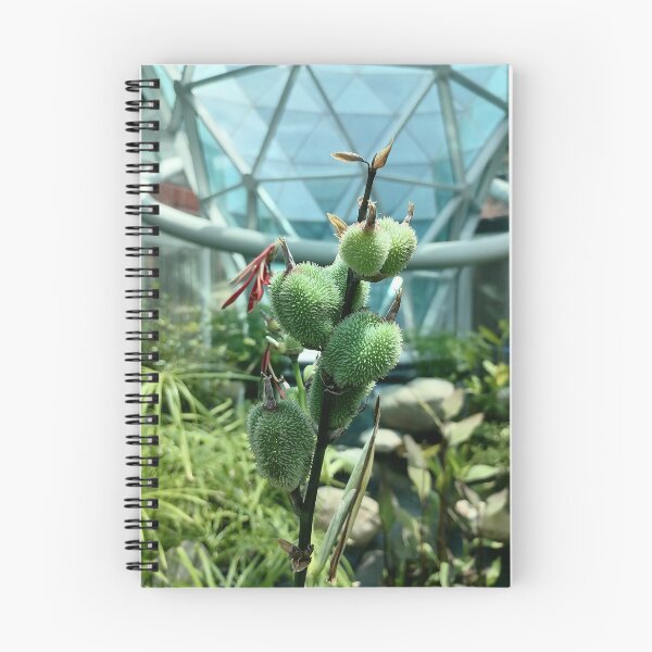 Item preview, Green Tropical Plant Seed Pods designed and sold by PhuongVoArt.