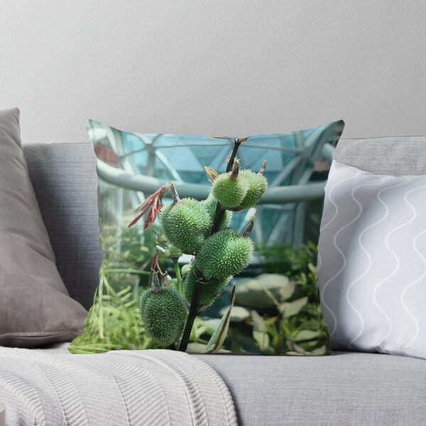 Item preview, Green Tropical Plant Seed Pods designed and sold by PhuongVoArt.