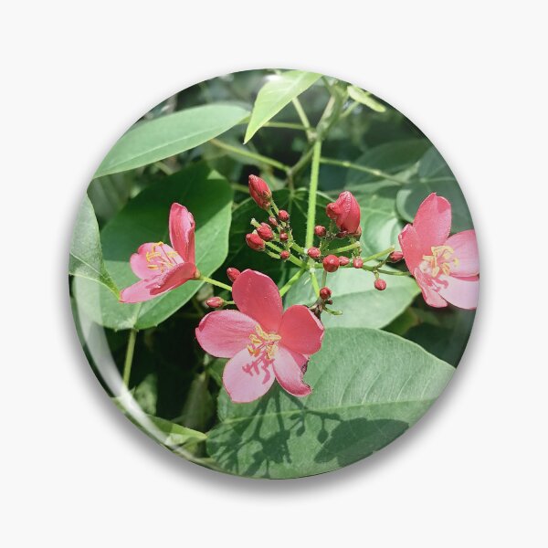 Item preview, Pink Tropical Flowers in Nature designed and sold by PhuongVoArt.