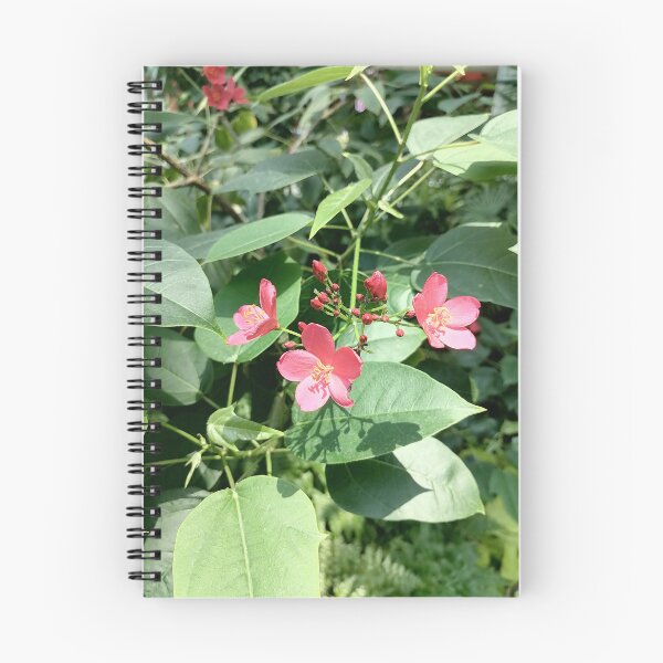Item preview, Pink Tropical Flowers in Nature designed and sold by PhuongVoArt.