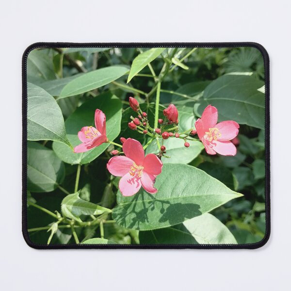 Item preview, Pink Tropical Flowers in Nature designed and sold by PhuongVoArt.