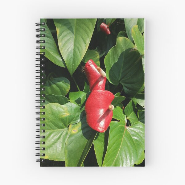 Item preview, Red Anthurium Tropical Flower designed and sold by PhuongVoArt.