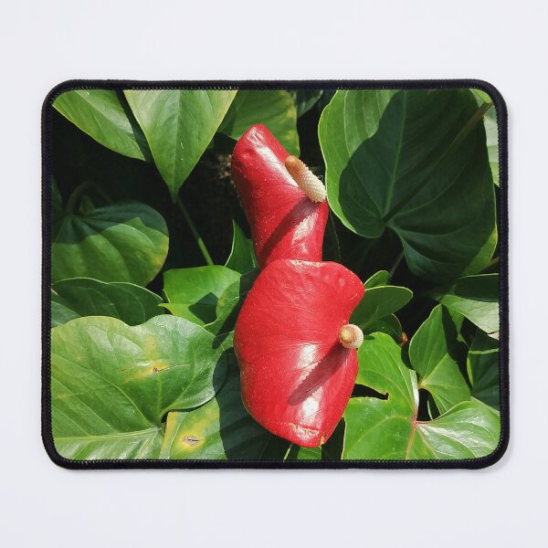 Item preview, Red Anthurium Tropical Flower designed and sold by PhuongVoArt.