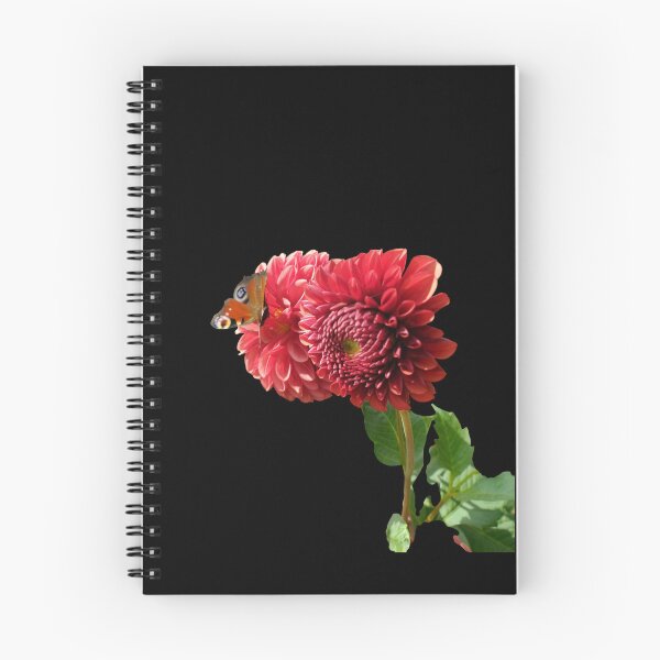 Item preview, Red Dahlia with Red Butterfly For Bringing Love To Oneself and The World Black Background designed and sold by BOKEbyTC.