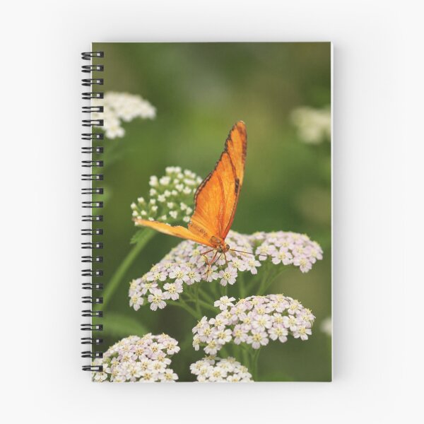 Item preview, Orange Julia Butterfly on Blushing Yarrow designed and sold by Kimberly Palmer.