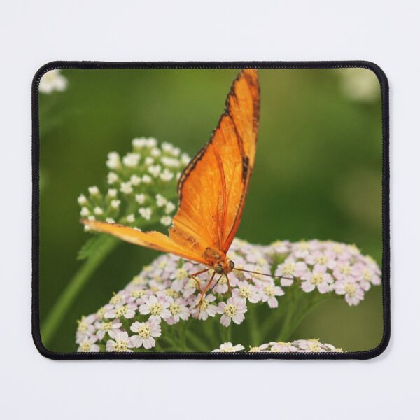 Item preview, Orange Julia Butterfly on Blushing Yarrow designed and sold by Kimberly Palmer.
