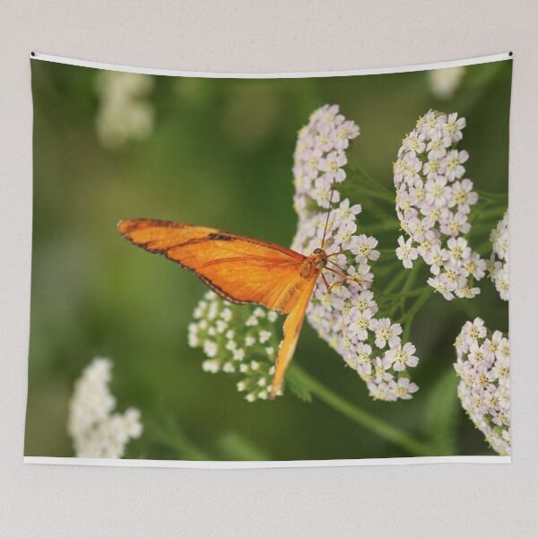 Item preview, Orange Julia Butterfly on Blushing Yarrow designed and sold by Kimberly Palmer.