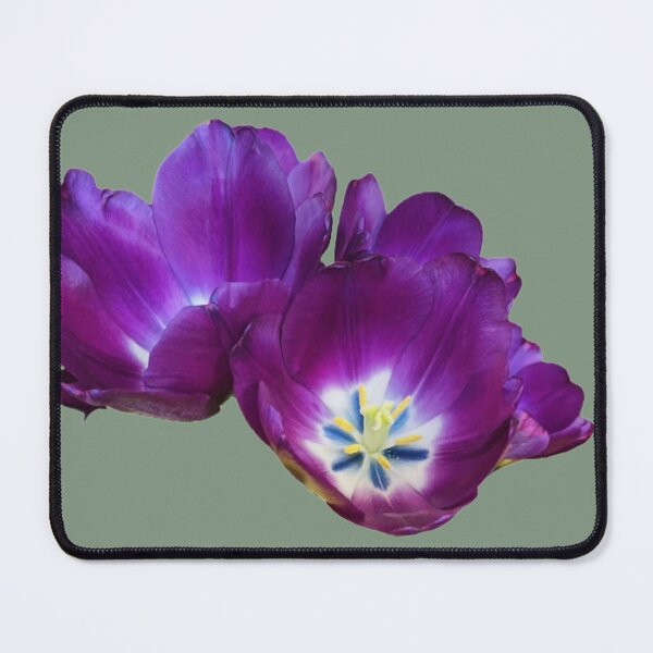 Item preview, Isolated Purple Tulip Blossom Cluster Macro Cutout designed and sold by BalkanBloom.