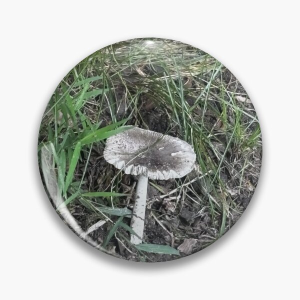 Item preview, Mushrooms designed and sold by BlueArt7.