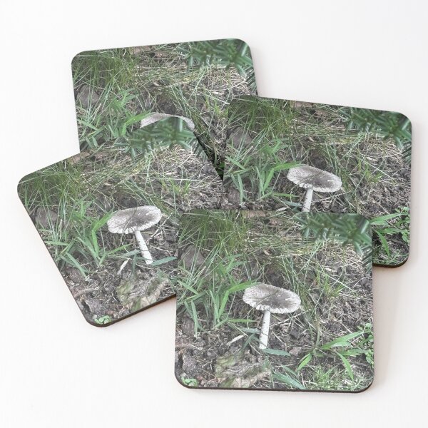 Item preview, Mushrooms designed and sold by BlueArt7.