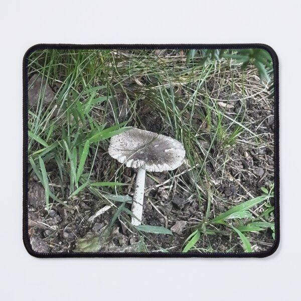 Item preview, Mushrooms designed and sold by BlueArt7.