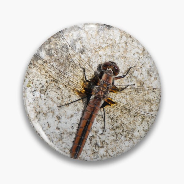 Item preview, Skimmer Dragonfly Resting on Stone Ontario Canada designed and sold by KillNFuel.