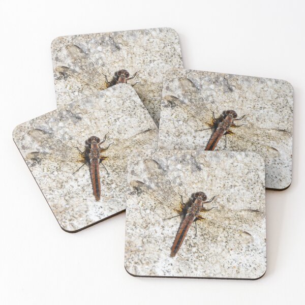 Item preview, Skimmer Dragonfly Resting on Stone Ontario Canada designed and sold by KillNFuel.