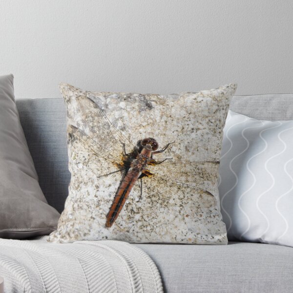 Item preview, Skimmer Dragonfly Resting on Stone Ontario Canada designed and sold by KillNFuel.