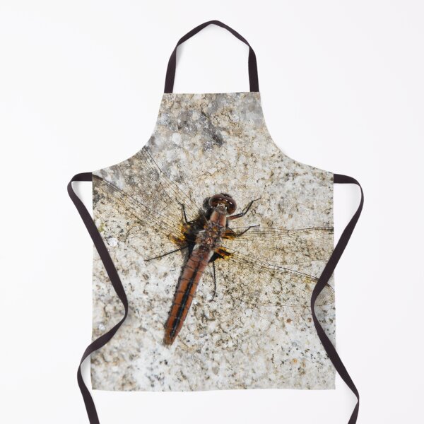 Item preview, Skimmer Dragonfly Resting on Stone Ontario Canada designed and sold by KillNFuel.