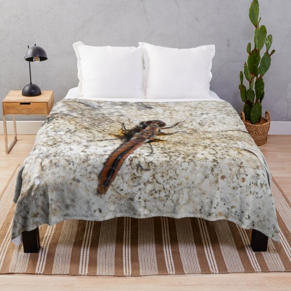 Item preview, Skimmer Dragonfly Resting on Stone Ontario Canada designed and sold by KillNFuel.