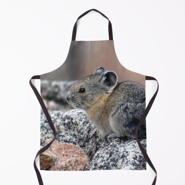 Item preview, Cute Little American Pika Mount Blue Sky Colorado designed and sold by KillNFuel.