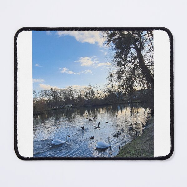 Item preview, Peaceful Swan on a Serene Lake designed and sold by EmberEchoArt.