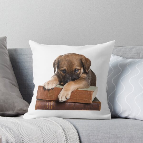 Item preview, Funny brown puppy and book designed and sold by utekhina.