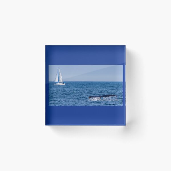 Item preview, Whale Tale with Boat designed and sold by Gardenographer.