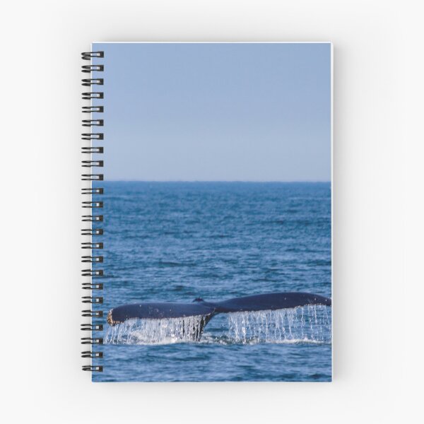Item preview, Whale Tale with Boat designed and sold by Gardenographer.