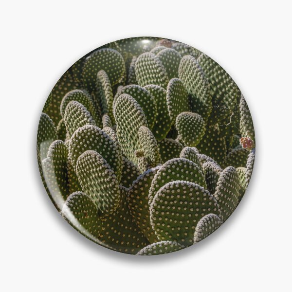 Item preview, Desert Botanical Garden designed and sold by River Oak Media.