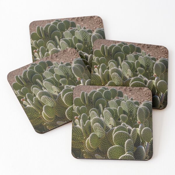 Item preview, Desert Botanical Garden designed and sold by River Oak Media.