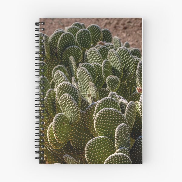 Item preview, Desert Botanical Garden designed and sold by River Oak Media.