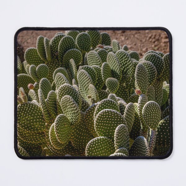 Item preview, Desert Botanical Garden designed and sold by River Oak Media.