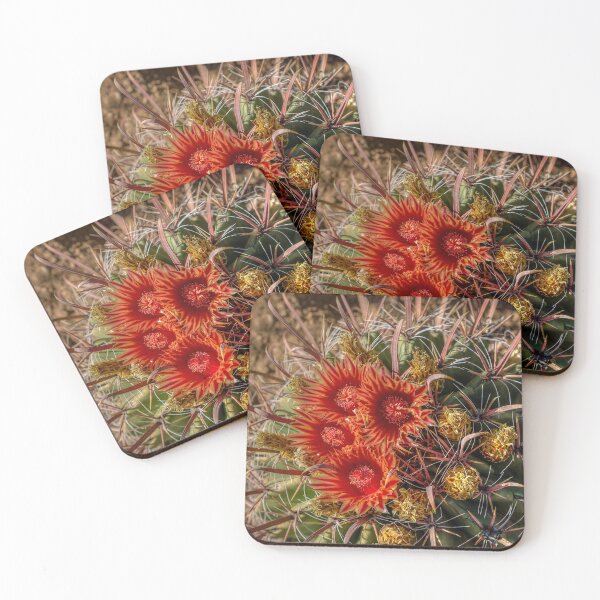 Item preview, Cactus Flower designed and sold by River Oak Media.