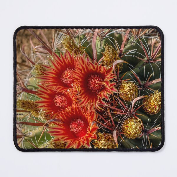 Item preview, Cactus Flower designed and sold by River Oak Media.