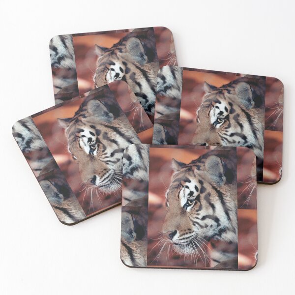 Item preview, vr 4063  : finition 2026  Tiger in a Cage ! - Tigre en Cage Photo by 3 Boites à Lumière Okaio - designed and sold by o.okaïo.