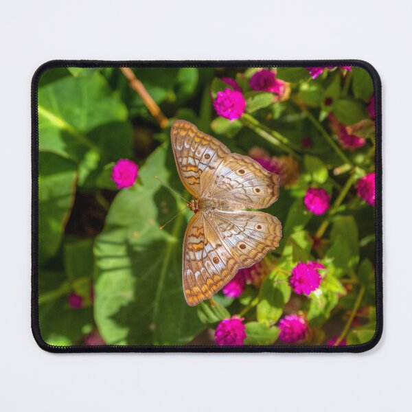 Item preview, Desert Butterfly and flowers designed and sold by River Oak Media.