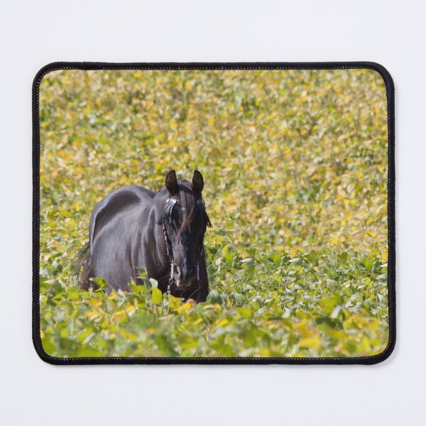 Item preview, Black Arabian in field of yellow designed and sold by Gardenographer.