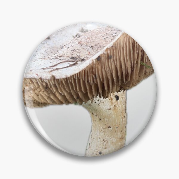 Item preview, Mushroom from my Yard designed and sold by Reallyrandy.