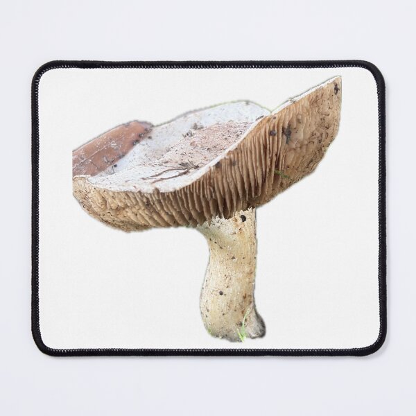 Item preview, Mushroom from my Yard designed and sold by Reallyrandy.