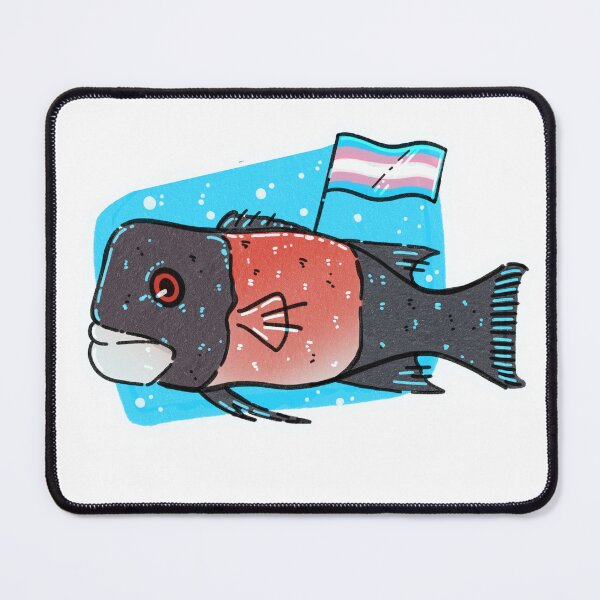 Item preview, Trans Fish - California Sheephead designed and sold by SamuelDendro.