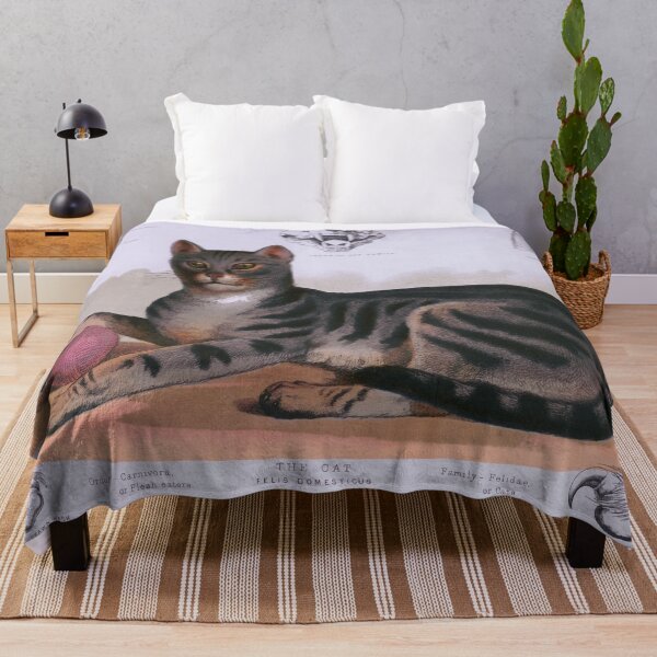 Item preview, 1873 Antique Cat Anatomy Chart designed and sold by SiliconValleyUS.