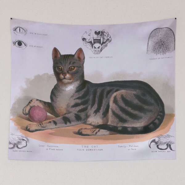 Item preview, 1873 Antique Cat Anatomy Chart designed and sold by SiliconValleyUS.