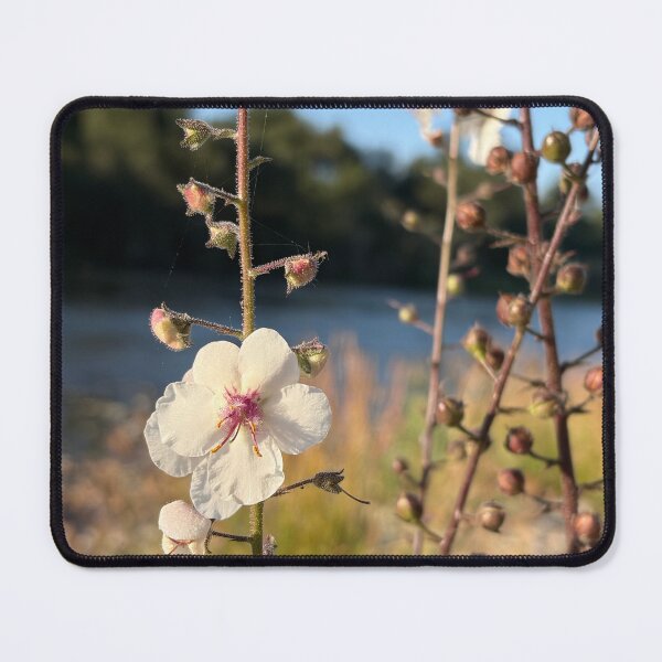Item preview, Flowers by the American River designed and sold by Reallyrandy.