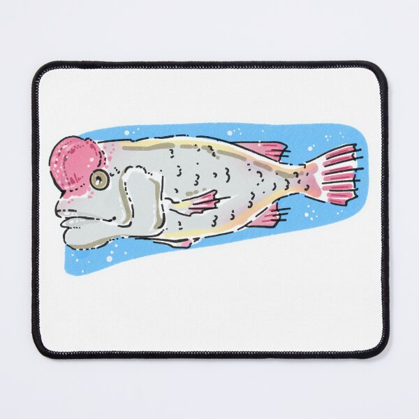 Item preview, Trans Fish - Asian Sheephead Wrasse designed and sold by SamuelDendro.